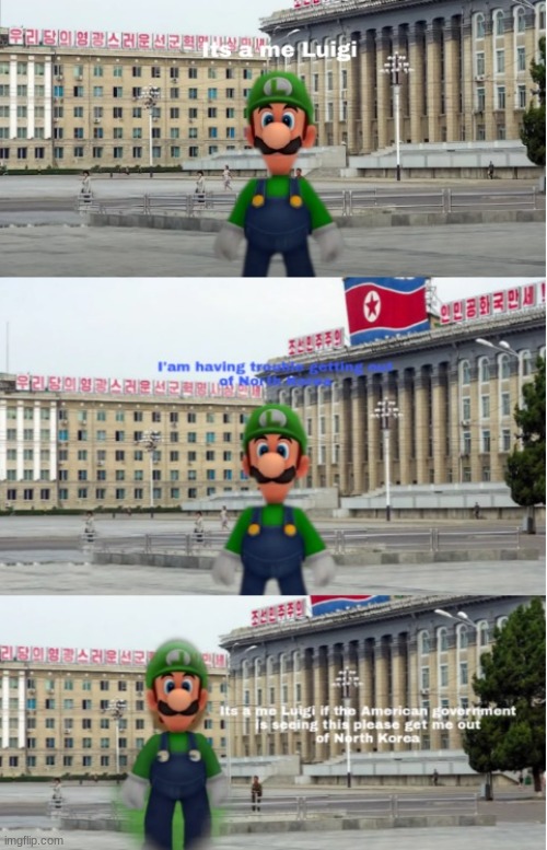 Luigi in north Korea | image tagged in funny memes | made w/ Imgflip meme maker