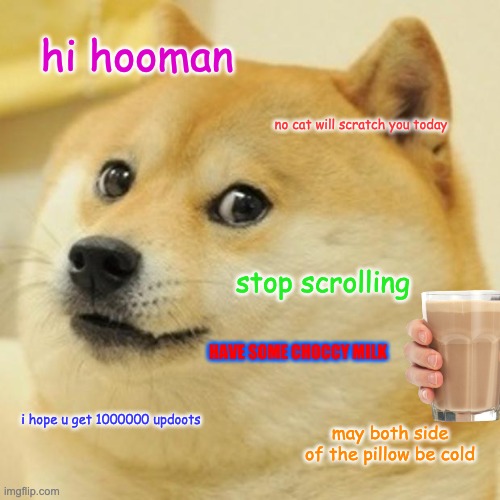 you are under protection of DOG | hi hooman; no cat will scratch you today; stop scrolling; HAVE SOME CHOCCY MILK; i hope u get 1000000 updoots; may both side of the pillow be cold | image tagged in memes,doge | made w/ Imgflip meme maker
