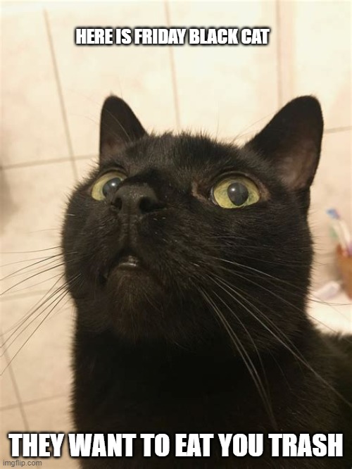 High Quality friday black cat Blank Meme Template