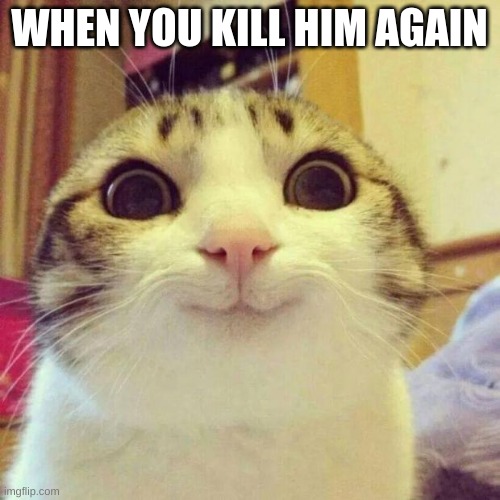 Smiling Cat Meme | WHEN YOU KILL HIM AGAIN | image tagged in memes,smiling cat | made w/ Imgflip meme maker