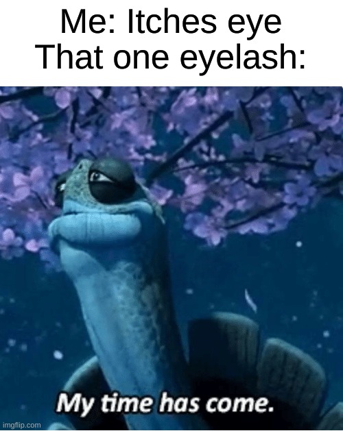That one eyelash | Me: Itches eye
That one eyelash: | image tagged in my time has come | made w/ Imgflip meme maker