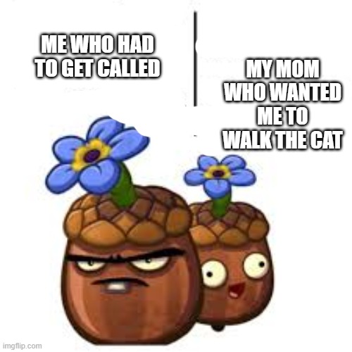 happi nut and sad nut | MY MOM WHO WANTED ME TO WALK THE CAT; ME WHO HAD TO GET CALLED | made w/ Imgflip meme maker