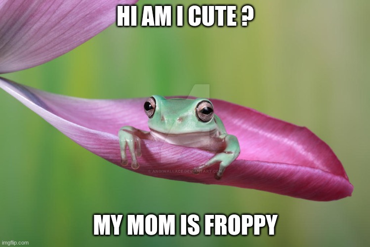 HI AM I CUTE ? MY MOM IS FROPPY | made w/ Imgflip meme maker