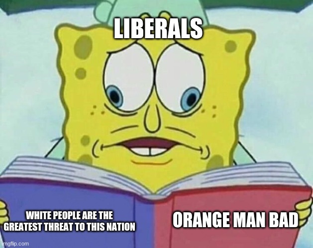 cross eyed spongebob | WHITE PEOPLE ARE THE GREATEST THREAT TO THIS NATION ORANGE MAN BAD LIBERALS | image tagged in cross eyed spongebob | made w/ Imgflip meme maker