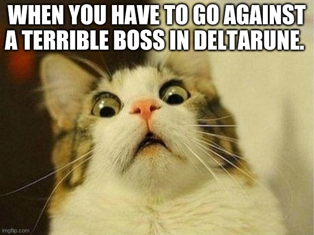 LOL funny title haha | WHEN YOU HAVE TO GO AGAINST A TERRIBLE BOSS IN DELTARUNE. | image tagged in memes,scared cat,gaming,deltarune,gaming meme,gamer | made w/ Imgflip meme maker