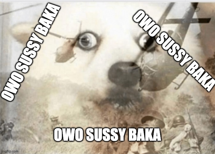 PTSD dog | OWO SUSSY BAKA OWO SUSSY BAKA OWO SUSSY BAKA | image tagged in ptsd dog | made w/ Imgflip meme maker