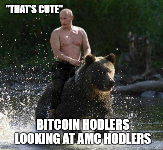 Bitcoin vs. AMC stock | "THAT'S CUTE"; BITCOIN HODLERS LOOKING AT AMC HODLERS | image tagged in putin thats cute | made w/ Imgflip meme maker
