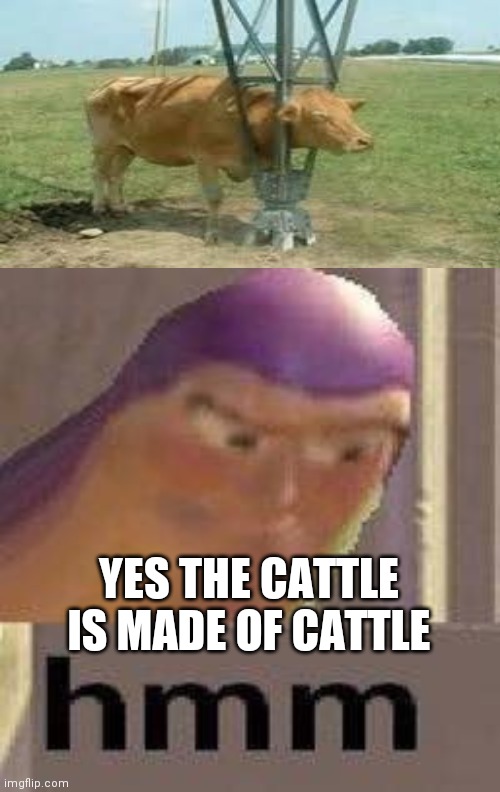 The cattle is made of cattle | YES THE CATTLE IS MADE OF CATTLE | image tagged in buzz lightyear hmm | made w/ Imgflip meme maker