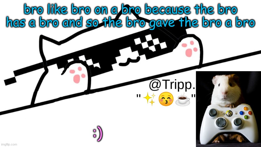 wow great story | bro like bro on a bro because the bro has a bro and so the bro gave the bro a bro; :) | image tagged in tripp 's very awesome temp d | made w/ Imgflip meme maker