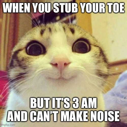 Smiling Cat Meme | WHEN YOU STUB YOUR TOE; BUT IT’S 3 AM AND CAN’T MAKE NOISE | image tagged in memes,smiling cat | made w/ Imgflip meme maker