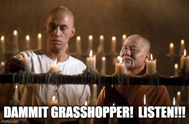 Dammit Listen Grasshopper | DAMMIT GRASSHOPPER!  LISTEN!!! | image tagged in kung fu grasshopper | made w/ Imgflip meme maker