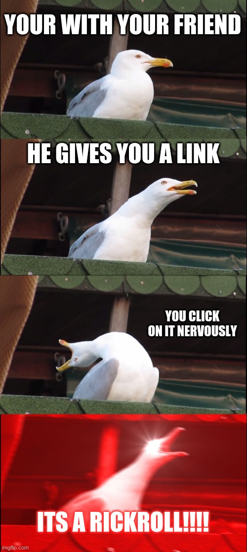 Its a rickroll! | YOUR WITH YOUR FRIEND; HE GIVES YOU A LINK; YOU CLICK ON IT NERVOUSLY; ITS A RICKROLL!!!! | image tagged in memes,inhaling seagull,rickroll,friend,link,meme | made w/ Imgflip meme maker