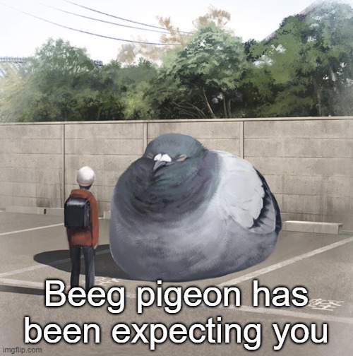 Beeg Birb | Beeg pigeon has been expecting you | image tagged in beeg birb | made w/ Imgflip meme maker