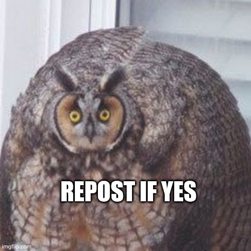 REPOST IF YES | made w/ Imgflip meme maker