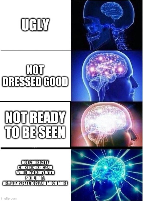 Expanding Brain Meme | UGLY; NOT DRESSED GOOD; NOT READY TO BE SEEN; NOT CORRECTLY CHOSEN FABRIC AND WOOL ON A BODY WITH SKIN, HAIR, ARMS,LEGS,FEET,TOES,AND MUCH MORE | image tagged in memes,expanding brain | made w/ Imgflip meme maker
