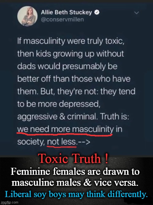 Liberals Have Proclaimed 'War on Men' (Much to the Detriment of Families) | Toxic Truth ! Feminine females are drawn to 
masculine males & vice versa. Liberal soy boys may think differently. | image tagged in politics,toxic masculinity,good,wussies bad | made w/ Imgflip meme maker