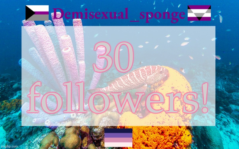 Huzzah! | 30 
followers! | image tagged in demisexual_sponge's template 3,demisexual_sponge | made w/ Imgflip meme maker