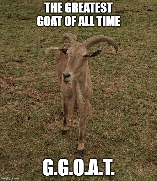 The Goat GOAT |  THE GREATEST GOAT OF ALL TIME; G.G.O.A.T. | image tagged in goat | made w/ Imgflip meme maker