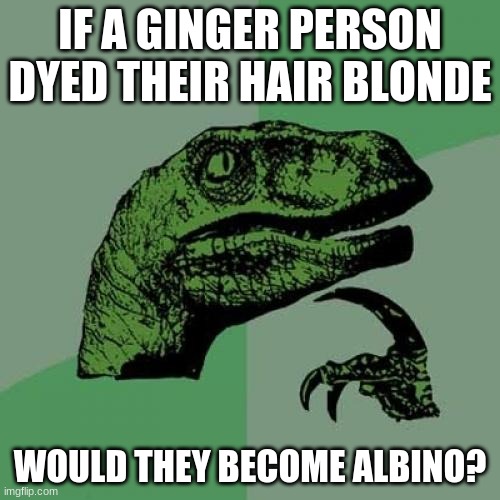 Seems legit. | IF A GINGER PERSON DYED THEIR HAIR BLONDE; WOULD THEY BECOME ALBINO? | image tagged in memes,philosoraptor,hair,gingers,blonde,so yeah | made w/ Imgflip meme maker