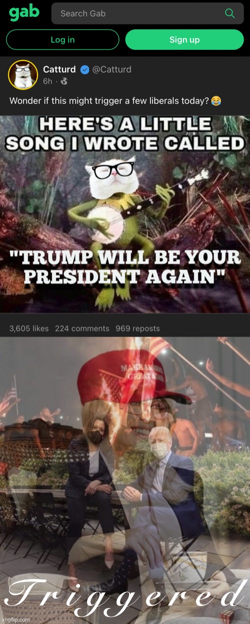 #TRIGGERED | T r i g g e r e d | image tagged in gab catturd,ptsd maga kylie tea,triggered,triggered liberal,super_triggered,maga | made w/ Imgflip meme maker