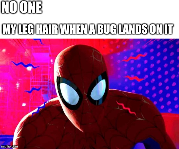 spidey sense activated! | NO ONE; MY LEG HAIR WHEN A BUG LANDS ON IT | image tagged in fun,funny,spiderman,sence,leg,hair | made w/ Imgflip meme maker