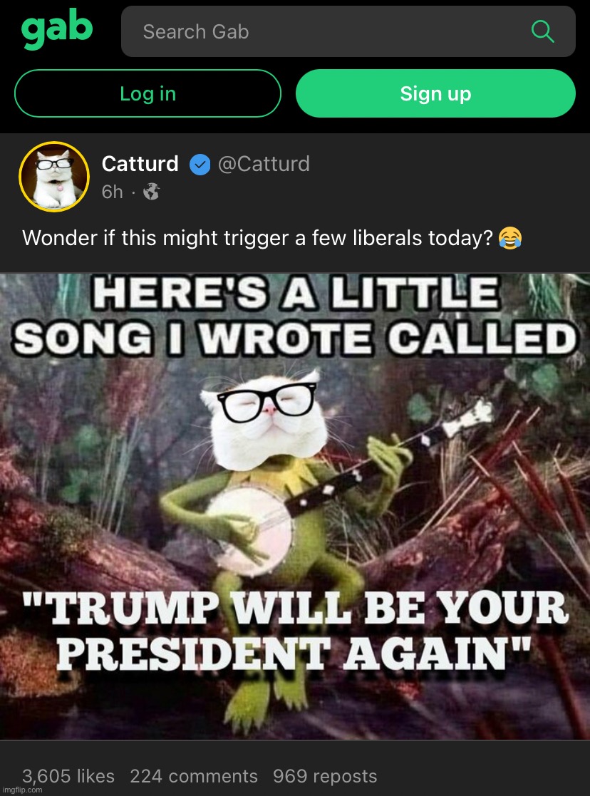 Triggered yet? Hahahahaha | image tagged in gab catturd,triggered liberal,triggered,super_triggered,trump,crying liberals | made w/ Imgflip meme maker