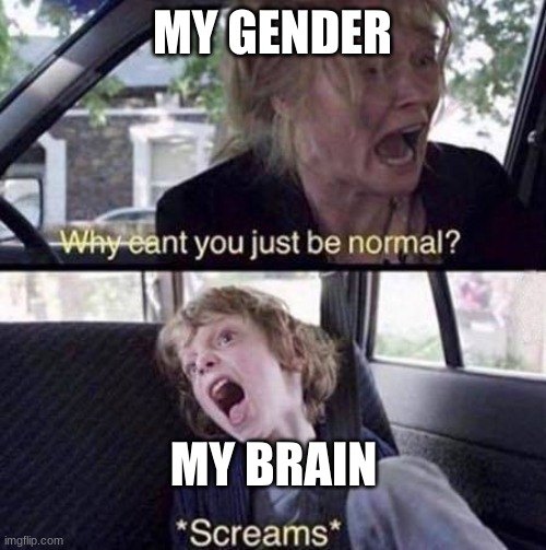 Why Can't You Just Be Normal | MY GENDER MY BRAIN | image tagged in why can't you just be normal | made w/ Imgflip meme maker