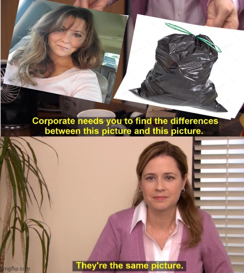 The one on the right looks a little bit more classy... | image tagged in memes,they're the same picture,trashbag,divorce,cheaters | made w/ Imgflip meme maker