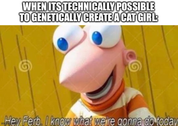 Hey Ferb | WHEN ITS TECHNICALLY POSSIBLE TO GENETICALLY CREATE A CAT GIRL: | image tagged in hey ferb | made w/ Imgflip meme maker