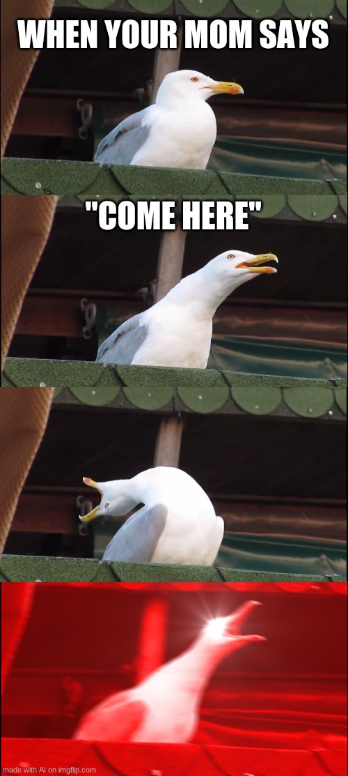 Inhaling Seagull | WHEN YOUR MOM SAYS; "COME HERE" | image tagged in memes,inhaling seagull | made w/ Imgflip meme maker