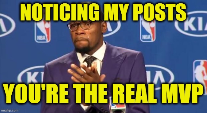You The Real MVP Meme | NOTICING MY POSTS YOU'RE THE REAL MVP | image tagged in memes,you the real mvp | made w/ Imgflip meme maker