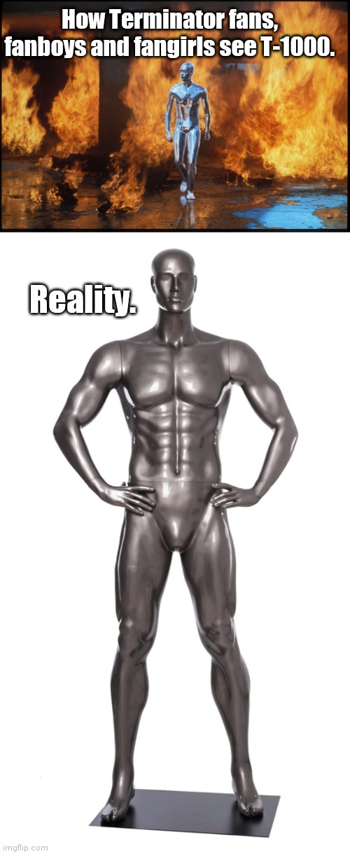 How Terminator fans, fanboys and fangirls see T-1000. Reality. | image tagged in terminator | made w/ Imgflip meme maker