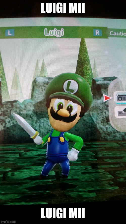 Luigi Mii | LUIGI MII; LUIGI MII | image tagged in luigi,mii,nintendo switch | made w/ Imgflip meme maker