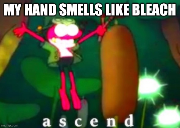 Sprig Ascends | MY HAND SMELLS LIKE BLEACH | image tagged in sprig ascends | made w/ Imgflip meme maker