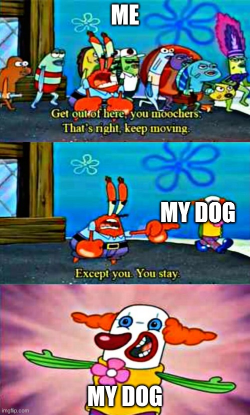 ME; MY DOG; MY DOG | image tagged in mr crabs | made w/ Imgflip meme maker