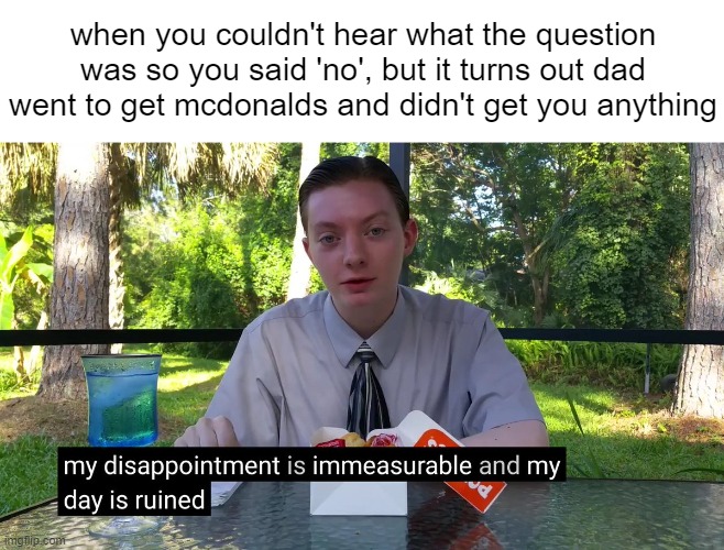 i am dying inside | when you couldn't hear what the question was so you said 'no', but it turns out dad went to get mcdonalds and didn't get you anything | image tagged in my disappointment is immeasurable,memes | made w/ Imgflip meme maker
