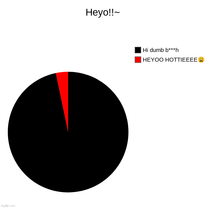 True? | Heyo!!~ | HEYOO HOTTIEEEE?, Hi dumb b***h | image tagged in charts,pie charts | made w/ Imgflip chart maker