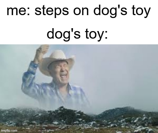 SSSSQQQQQUUUEEAEAKAKKK |  me: steps on dog's toy; dog's toy: | image tagged in jimmy barnes screaming | made w/ Imgflip meme maker