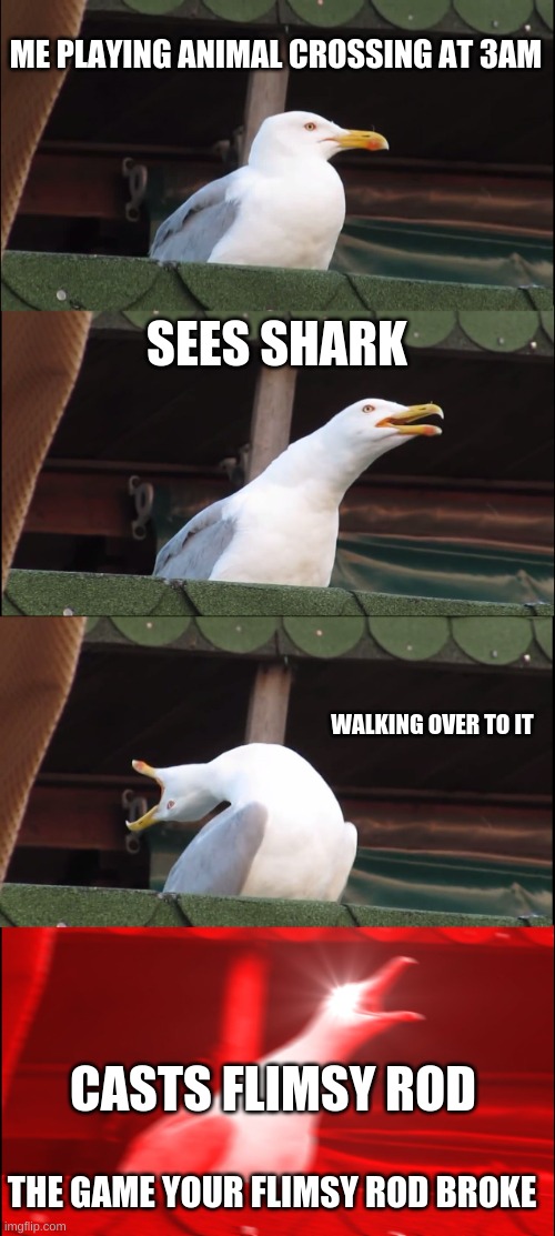 Inhaling Seagull Meme | ME PLAYING ANIMAL CROSSING AT 3AM; SEES SHARK; WALKING OVER TO IT; CASTS FLIMSY ROD; THE GAME YOUR FLIMSY ROD BROKE | image tagged in memes,inhaling seagull | made w/ Imgflip meme maker