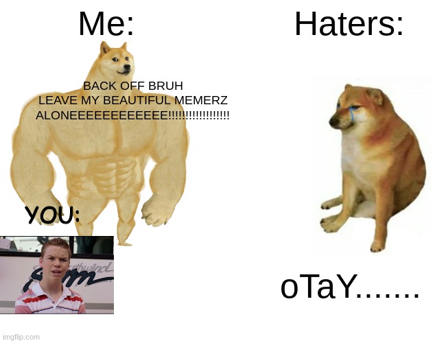 Heyo! | Me:; Haters:; BACK OFF BRUH
LEAVE MY BEAUTIFUL MEMERZ
ALONEEEEEEEEEEEE!!!!!!!!!!!!!!!!!! YOU:; oTaY....... | image tagged in memes,buff doge vs cheems | made w/ Imgflip meme maker