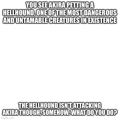 Akiras back. And tell me if u wanna do long term rp | YOU SEE AKIRA PETTING A HELLHOUND, ONE OF THE MOST DANGEROUS AND UNTAMABLE CREATURES IN EXISTENCE; THE HELLHOUND ISN’T ATTACKING AKIRA THOUGH, SOMEHOW. WHAT DO YOU DO? | image tagged in memes,blank transparent square | made w/ Imgflip meme maker