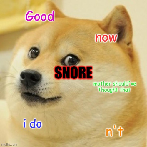 Doge Meme | Good now mother should've Thought that i do n't SNORE | image tagged in memes,doge | made w/ Imgflip meme maker