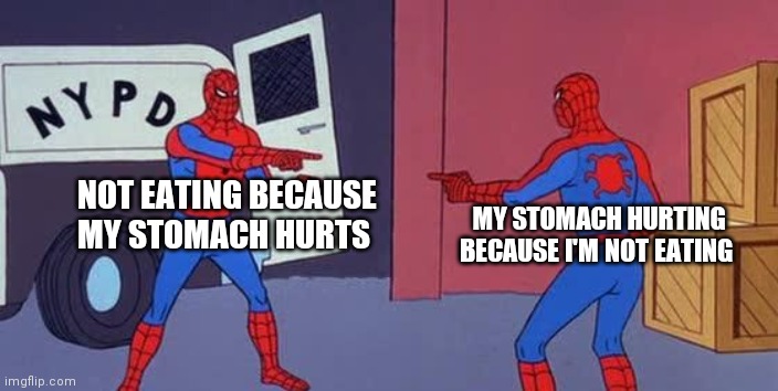O3 |  MY STOMACH HURTING BECAUSE I'M NOT EATING; NOT EATING BECAUSE MY STOMACH HURTS | image tagged in spider man double | made w/ Imgflip meme maker