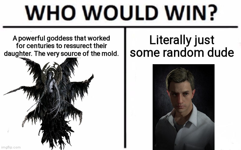 Who Would Win? Meme | A powerful goddess that worked for centuries to ressurect their daughter. The very source of the mold. Literally just some random dude | image tagged in memes,who would win,funny,oh wow are you actually reading these tags | made w/ Imgflip meme maker