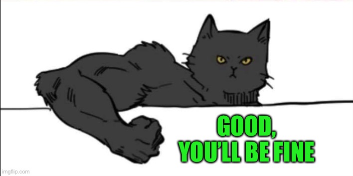 Buff cat | GOOD, YOU’LL BE FINE | image tagged in buff cat | made w/ Imgflip meme maker