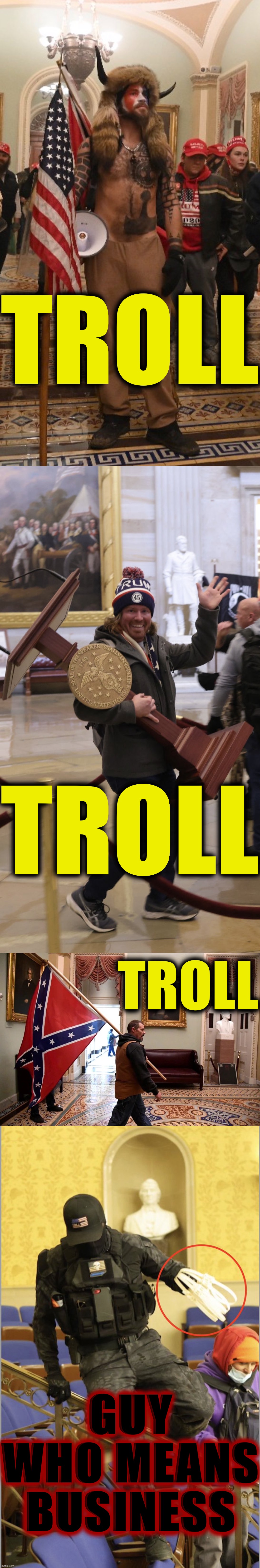 A very rough taxonomy of MAGA riot trolls | TROLL; TROLL; TROLL; GUY WHO MEANS BUSINESS | image tagged in capitol hill rioter,magat participation trophy,jan 6 2021 confederate flag,jan 6 2021 zip tie guy | made w/ Imgflip meme maker