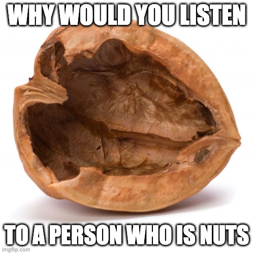 Nutshell | WHY WOULD YOU LISTEN TO A PERSON WHO IS NUTS | image tagged in nutshell | made w/ Imgflip meme maker