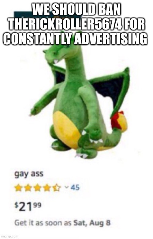 Gay ass | WE SHOULD BAN THERICKROLLER5674 FOR CONSTANTLY ADVERTISING | image tagged in gay ass | made w/ Imgflip meme maker