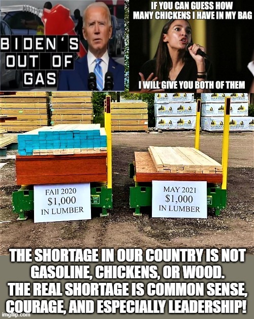 Inflation vs leadership | THE SHORTAGE IN OUR COUNTRY IS NOT
GASOLINE, CHICKENS, OR WOOD.
THE REAL SHORTAGE IS COMMON SENSE,
COURAGE, AND ESPECIALLY LEADERSHIP! | image tagged in leadership,courage,common sense,gasoline,joe biden,aoc | made w/ Imgflip meme maker