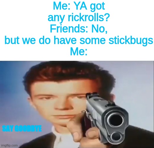 NO STICKBUGS HERE XD | Me: YA got any rickrolls?
Friends: No, but we do have some stickbugs
Me:; SAY GOODBYE | image tagged in blank white template,say goodbye,rick astley,rickroll | made w/ Imgflip meme maker